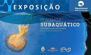 Portugal_subaqu_tico_exposi__o