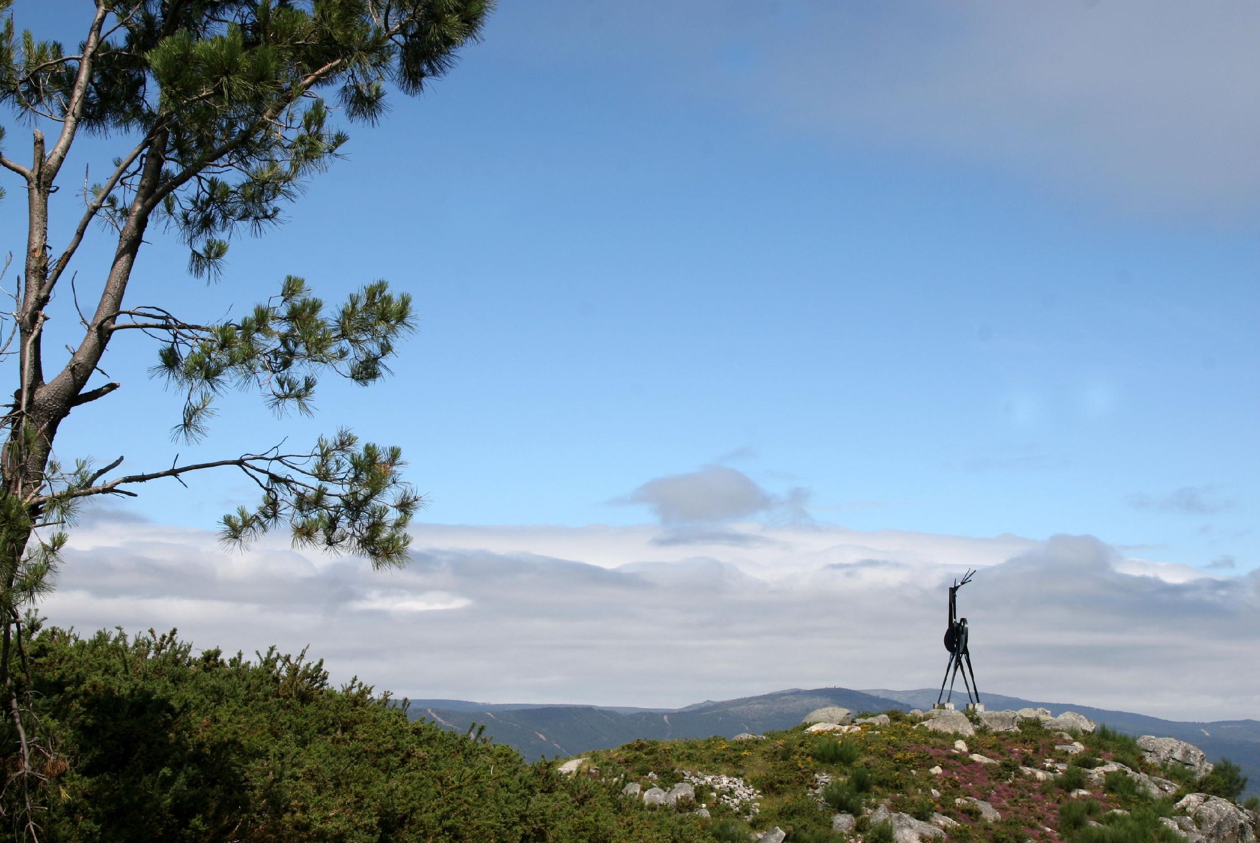 Vila Nova de Cerveira / 'Grande Rota do Cervo' é o projeto 