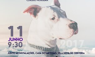 a3_cartaz_caes_de_um_deus_menor_jpg