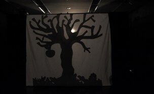 No_Risco_da_Sombra_em_365_Dias_1