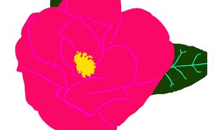 Banner_Mostra_de_Cam_lias