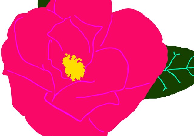 Banner_Mostra_de_Cam_lias