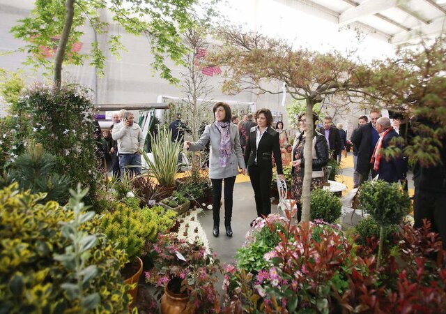 mostra_cultivos_tomino