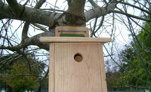 MAR_O_-_20_A_22_-_DIA_MUNDIAL_DA_ARVORE