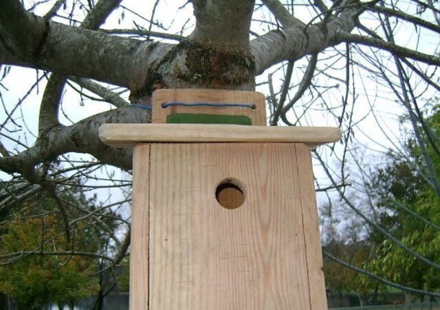 MAR_O_-_20_A_22_-_DIA_MUNDIAL_DA_ARVORE