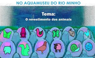Cartaz_f_rias_da_p_scoa_Aquamuseu_2019
