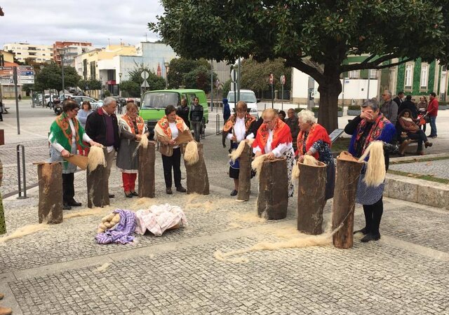 23517683_1895083090519124_5356821097973708633_n