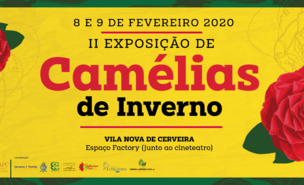 ii_exposicao_de_camelias_de_inverno_facebook