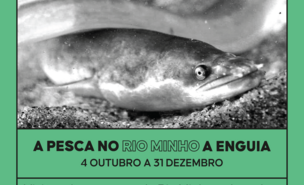 aquamuseu_enguia_post