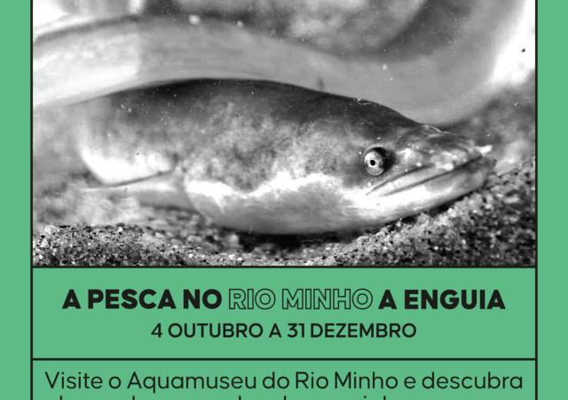 aquamuseu_enguia_post