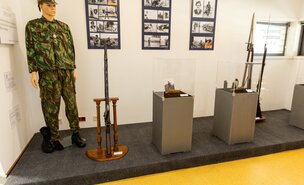 dia_do_municipio_081