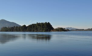 dia_internacional_da_vida_selvagem