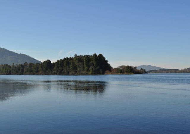dia_internacional_da_vida_selvagem