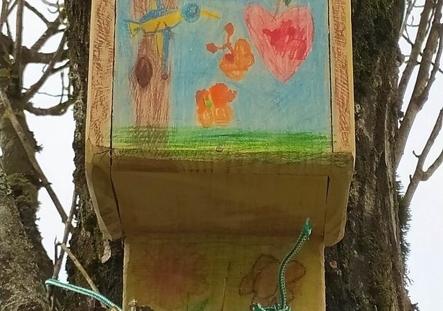 caixa_ninho___dia_mundila_da_arvore