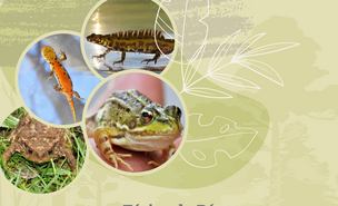 3_a_6_abril___ferias_da_pascoa_aquamuseu_2023