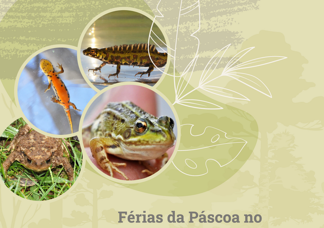 3_a_6_abril___ferias_da_pascoa_aquamuseu_2023