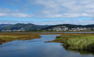 2_fevereiro___zona_humidas