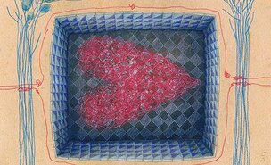 ANABELA_DIAS_ilustra2bx