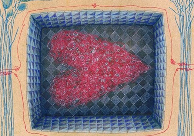 ANABELA_DIAS_ilustra2bx