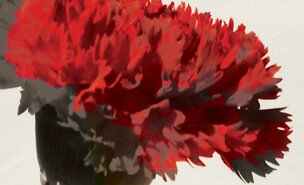 Cartaz_-_Comemora__o_25_Abril