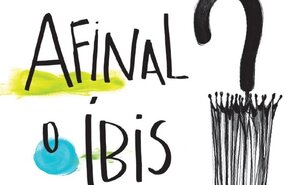 Afinal_o_Ibis
