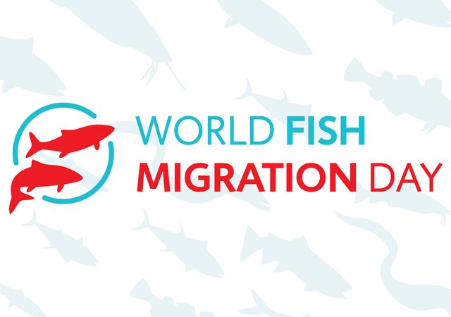 Diamundial_dos_peixes_migradores