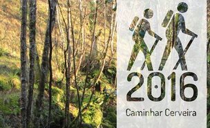 Caminhar_Cerveira