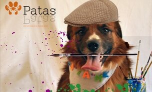 Animais_de_todos_e_de_ninguem