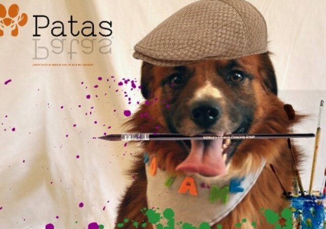 Animais_de_todos_e_de_ninguem