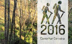 Caminhar_Cerveira