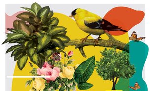 PROVA_CARTAZ_PRIMAVERA__1_