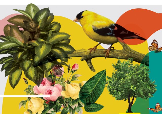 PROVA_CARTAZ_PRIMAVERA__1_