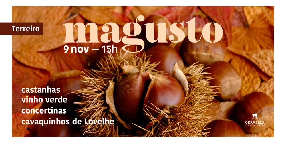 banner_site_magusto_25