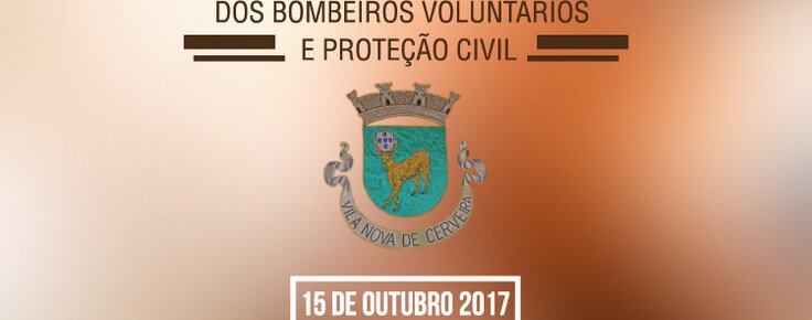 BannerDiadoMunicipio