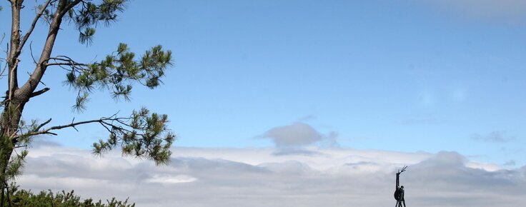 Cervo_Jos__Rodrigues_Monte_Encarna__o__2_