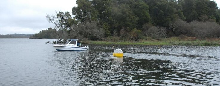 27973631_1708194459247835_2321663523391410949_n