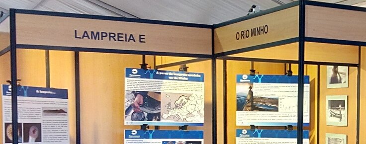 sabores_da_lampreia_valen_a