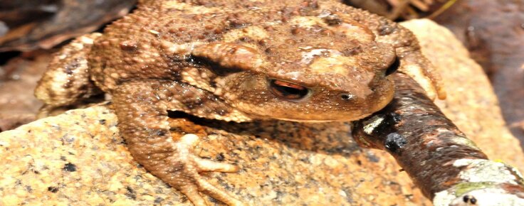 AGOSTO_-_EXPOSI__O_-_Sapo