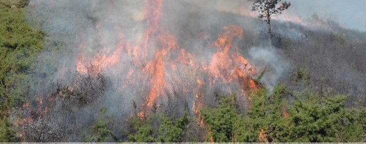 noticia_site_fogo_controlado_protecao_civil