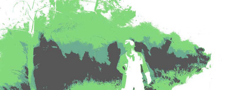 PMDFCI_Vila_Nova_de_Cerveiras