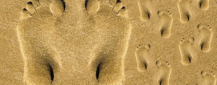 cartaz_aquamuseu_verao_2019