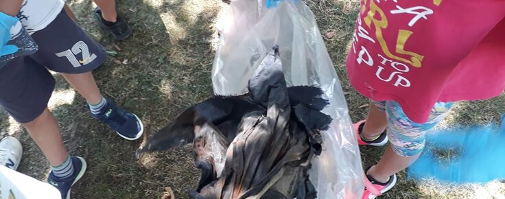 limpeza_margens_do_rio_minho_1_agosto