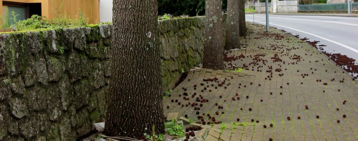 intervencao_ip_na_en13