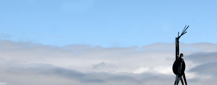 estado_de_alerta___cervo