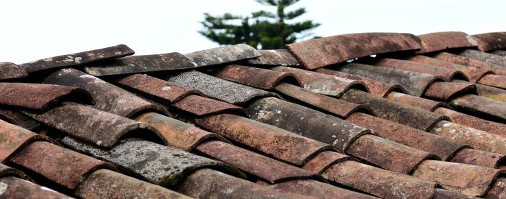 estategia_local_de_habitacao