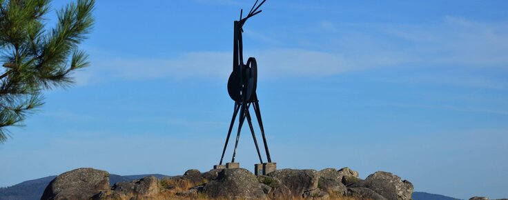 24_julho___livro_bienais___creditos_fotografia_lauren_maganete