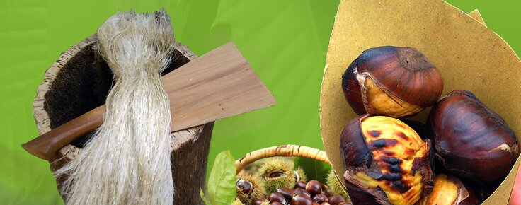 Cartaz_magusto_20155555