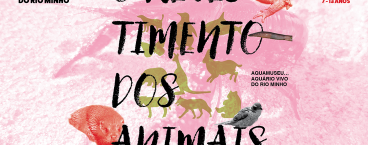 foto_ferias_pascoa_25