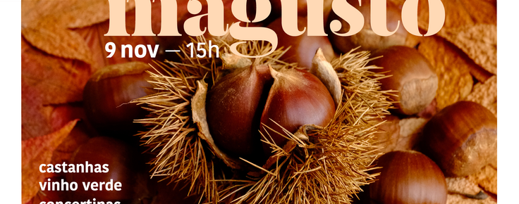 foto_noticias_magusto_25