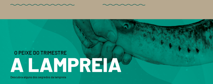 foto_noticias_lampreia_26